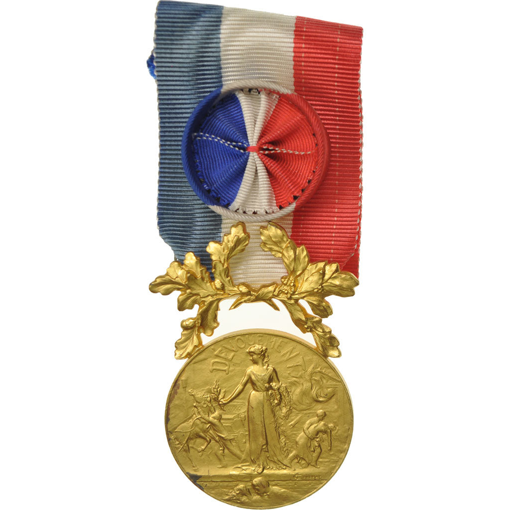 Frankreich, Courage et Dévouement, Sauvetage, Medaille, Excellent Quality