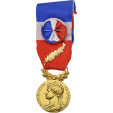 France, Honneur et Travail, 35 Ans, Médaille, Non circulé, Borrel, Vermeil, 27