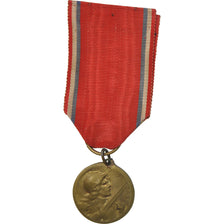Francia, Médaille de Verdun, medalla, 1916, Good Quality, Vernier, Bronce, 27
