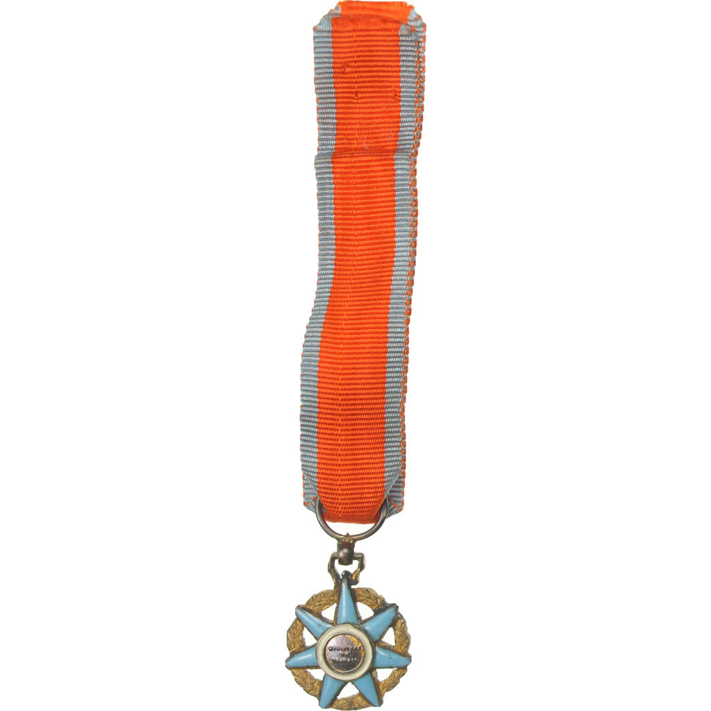 Francia, Réduction d'Officier de l'Ordre du Mérite Social, medaglia, Ottima