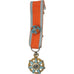 France, Réduction d'Officier de l'Ordre du Mérite Social, Médaille, Très bon