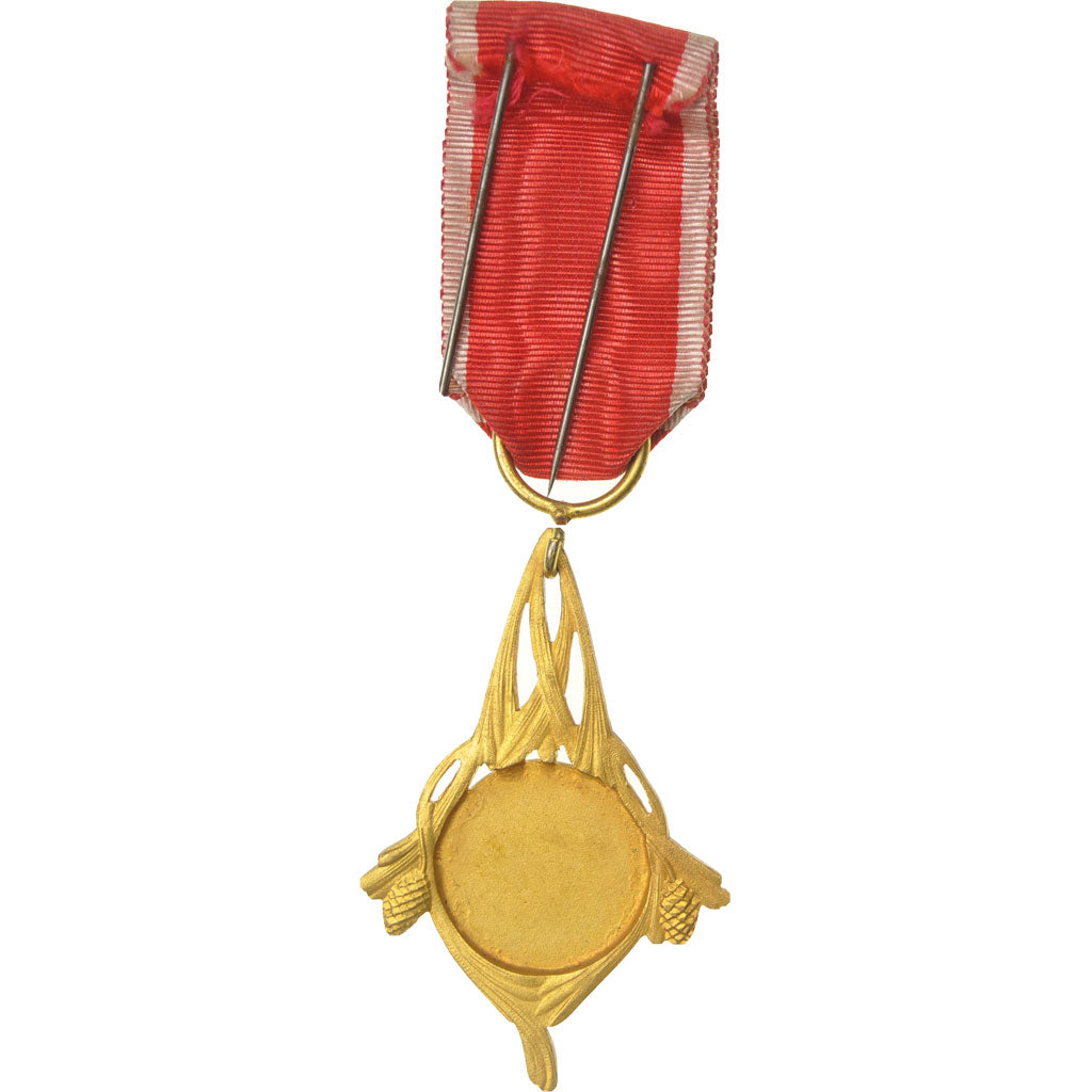 France, Concours de tir, Tourcoing, Medal, 1925, Very Good Quality, Gilt Bronze