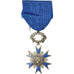 France, Ordre National du Mérite, Médaille, 1963, Non circulé, Silvered