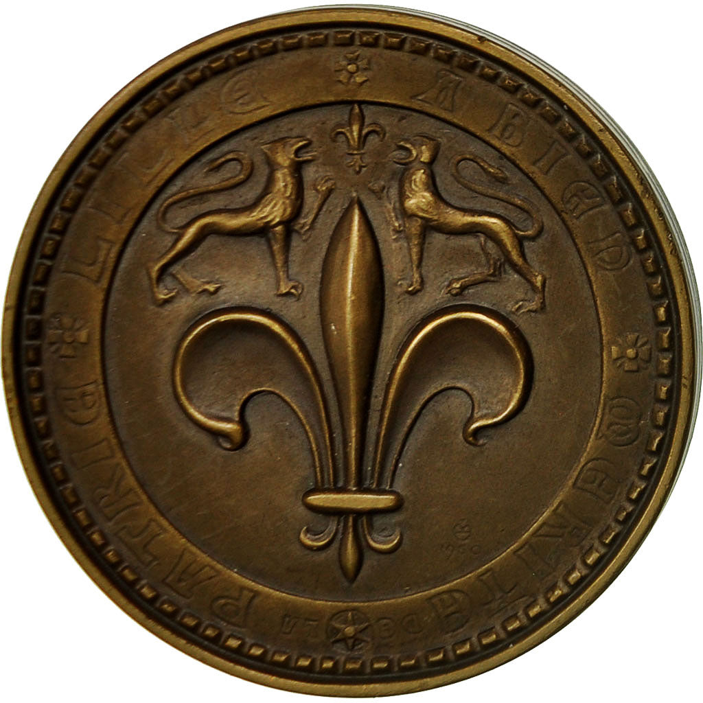 Francia, medalla, Lille a bien Mérité la Patrie, 1966, Charles, EBC+, Bronce