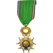 France, Croix pour l'Oeuvre Humanitaire, Médaille, Très bon état, Gilt