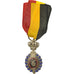 Belgium, Médaille du Travail 2ème Classe, Medal, Excellent Quality, Silvered