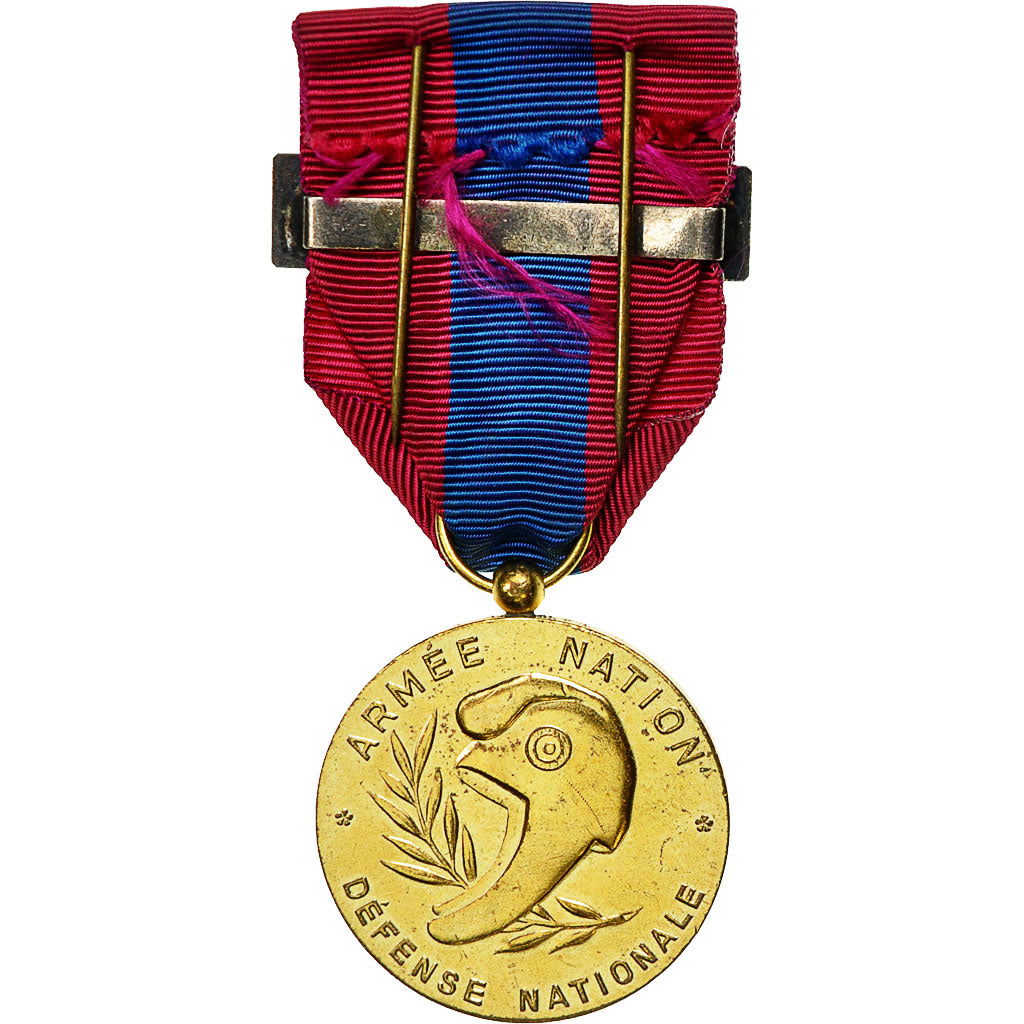 Francia, Armée-Nation, Défense Nationale, medaglia, Fuori circolazione, Bronzo
