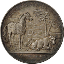 Algeria, Médaille, Société d'Agriculture d'Alger, 1876, Royer, SUP, Argent