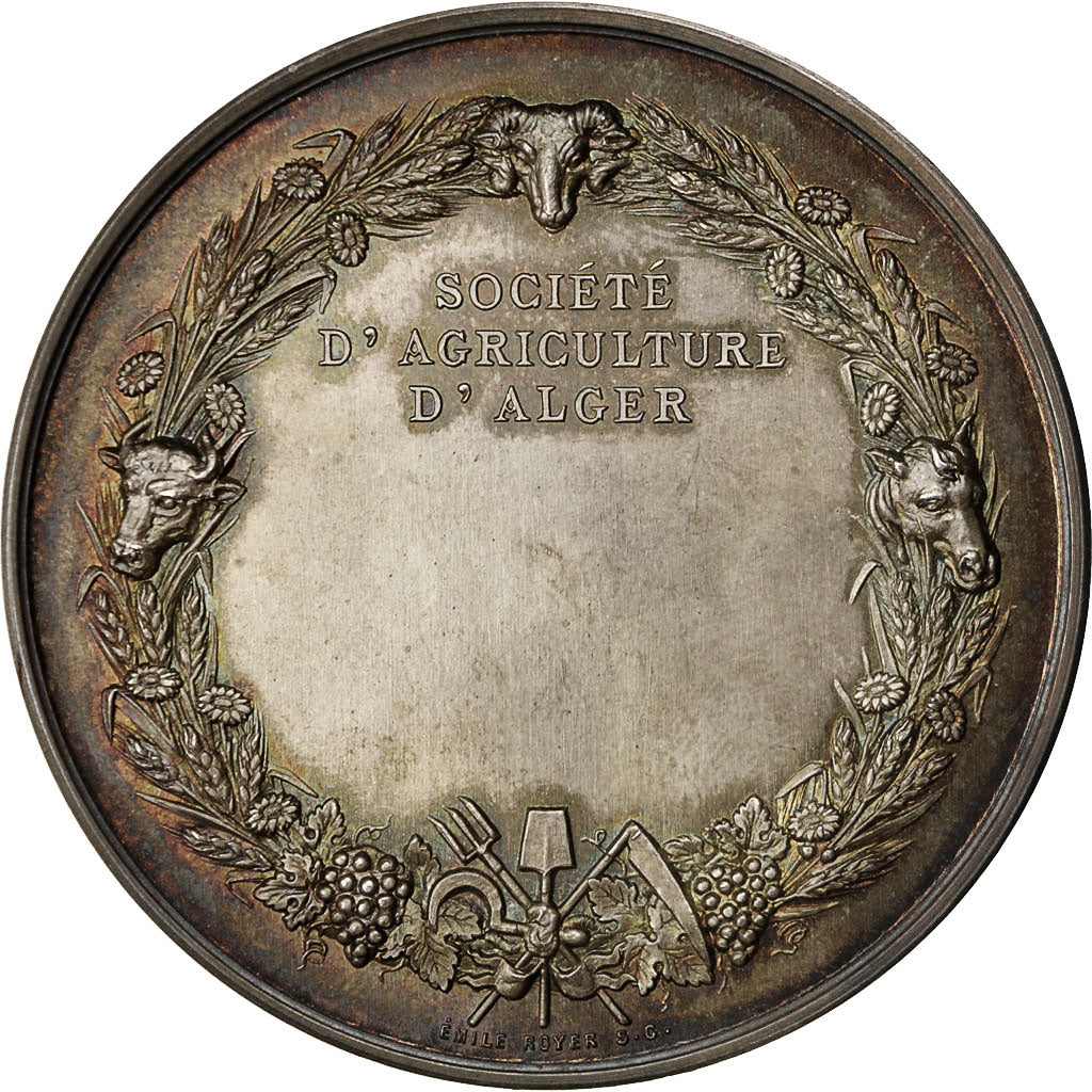 Algeria, Medal, Société d'Agriculture d'Alger, 1876, Royer, AU(55-58), Silver
