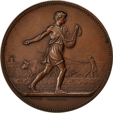 Algeria, Médaille, Comice Agricole de Philippeville, Constantine, 1876