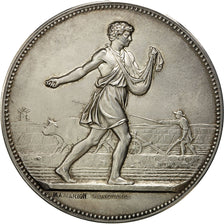 Algeria, Medaille, Comice Agricole de Philippeville, Constantine, 1876