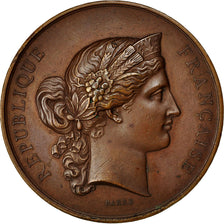 Algeria, medaglia, Ministère de l'Agriculture et du Commerce de Bône, 1879