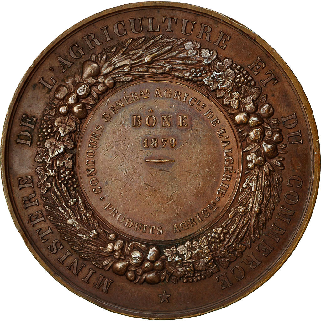 Algeria, Medal, Ministère de l'Agriculture et du Commerce de Bône, 1879