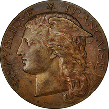 Algeria, Médaille, Concours Général Agricole de Sétif, 1885, Ponscarme, TTB