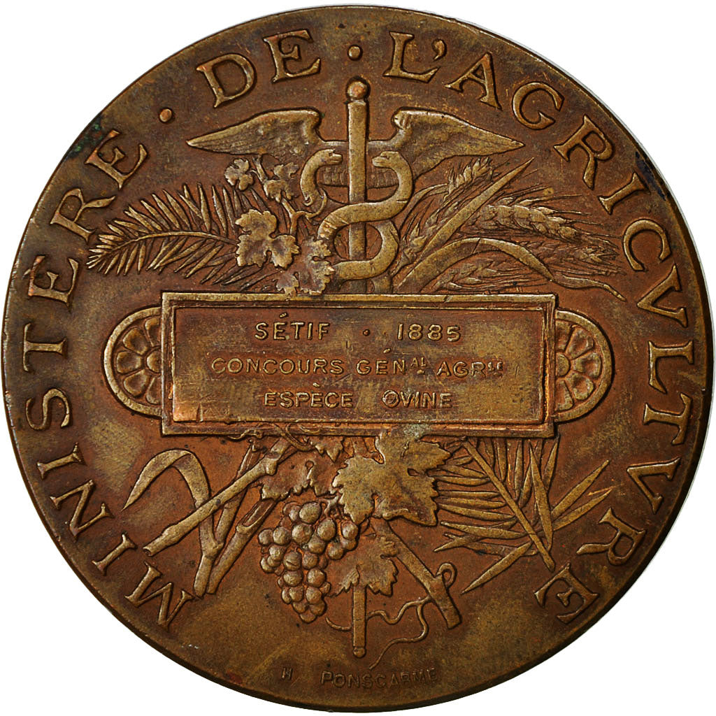 Algeria, Medal, Concours Général Agricole de Sétif, 1885, Ponscarme
