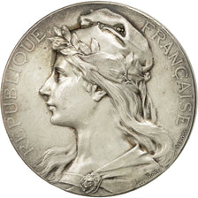Algeria, Medal, Conseils municipaux d'Alger, 1892, Bottée, AU(50-53), Silvered