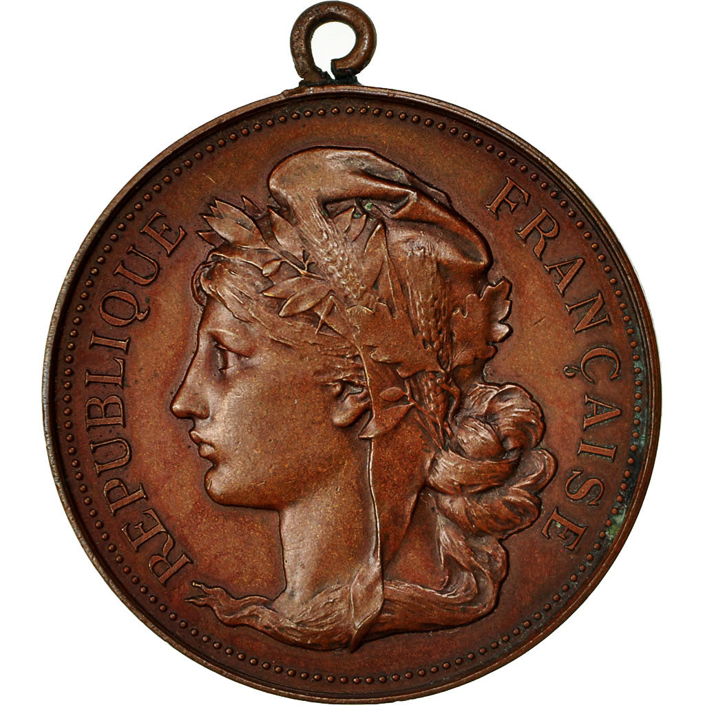 Algeria, Médaille, Exposition de Photographie, Oran, 1893, TTB+, Bronze