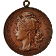 Algeria, Médaille, Exposition de Photographie, Oran, 1893, TTB+, Bronze