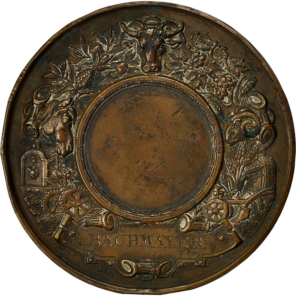 Algeria, Medal, Comice Agricole de Sétif, 1899, Desaide, EF(40-45), Bronze