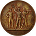 Algeria, medalla, Société de Tir de Mostaganem, 1908, Bertrand, EBC, Bronce