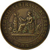 Algeria, Medaille, Pharmacie Centrale de France, Prix Le Franc, 1909, VZ, Bronze