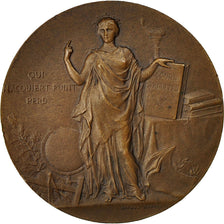 Algeria, medalla, Instruction Publique, Cours d'Adultes à Oran, 1911, Dubois.A