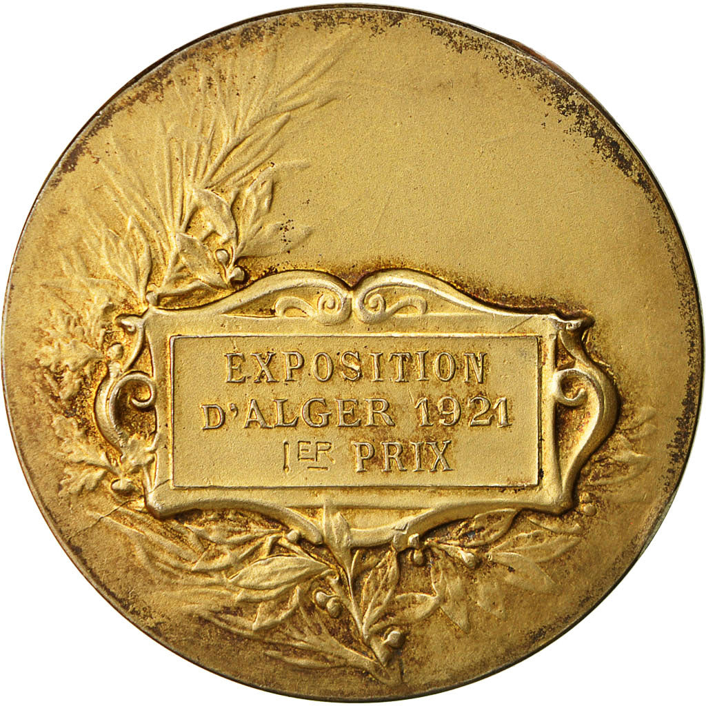 Algeria, Medal, Exposition d'Alger, 1921, Rasumny, EF(40-45), Gilt Bronze