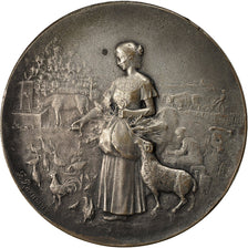 Algeria, Médaille, Exposition d'Alger, 1921, Rasumny, TTB, Silvered bronze