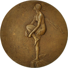 Algerije, Medaille, Aviation, Aéro-club d'Algérie C.A.M.A, 1935, Dammann, ZF+