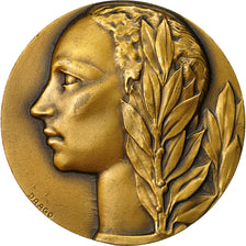 Algeria, medalla, Front Paysan de Tiaret, 1936, Drago, EBC, Bronce
