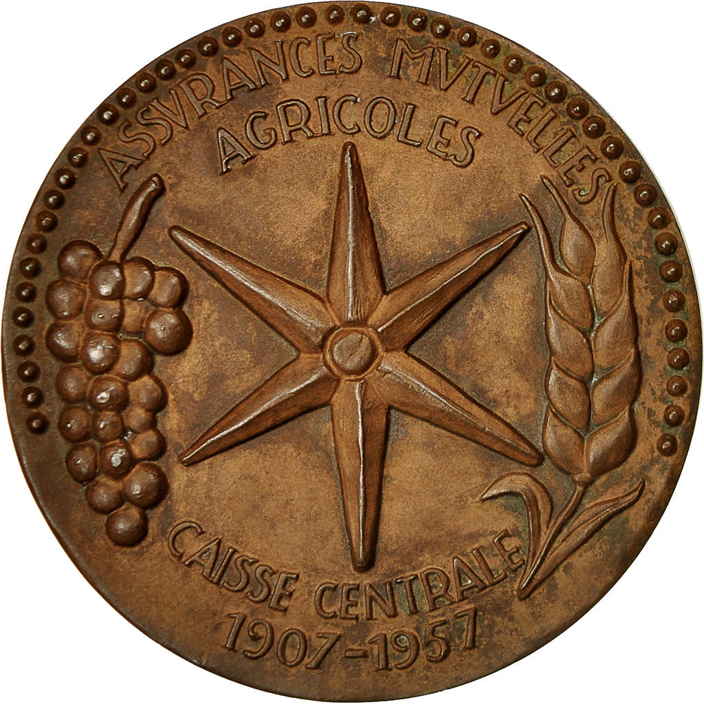 Algeria, medaglia, Caisse d'Assurances Mutuelles Agricoles, 1957, SPL-, Bronzo
