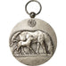 Algeria, Medaille, Chevaux, Dépôts de Reproducteurs D'Algérie, Bouchard, SS+