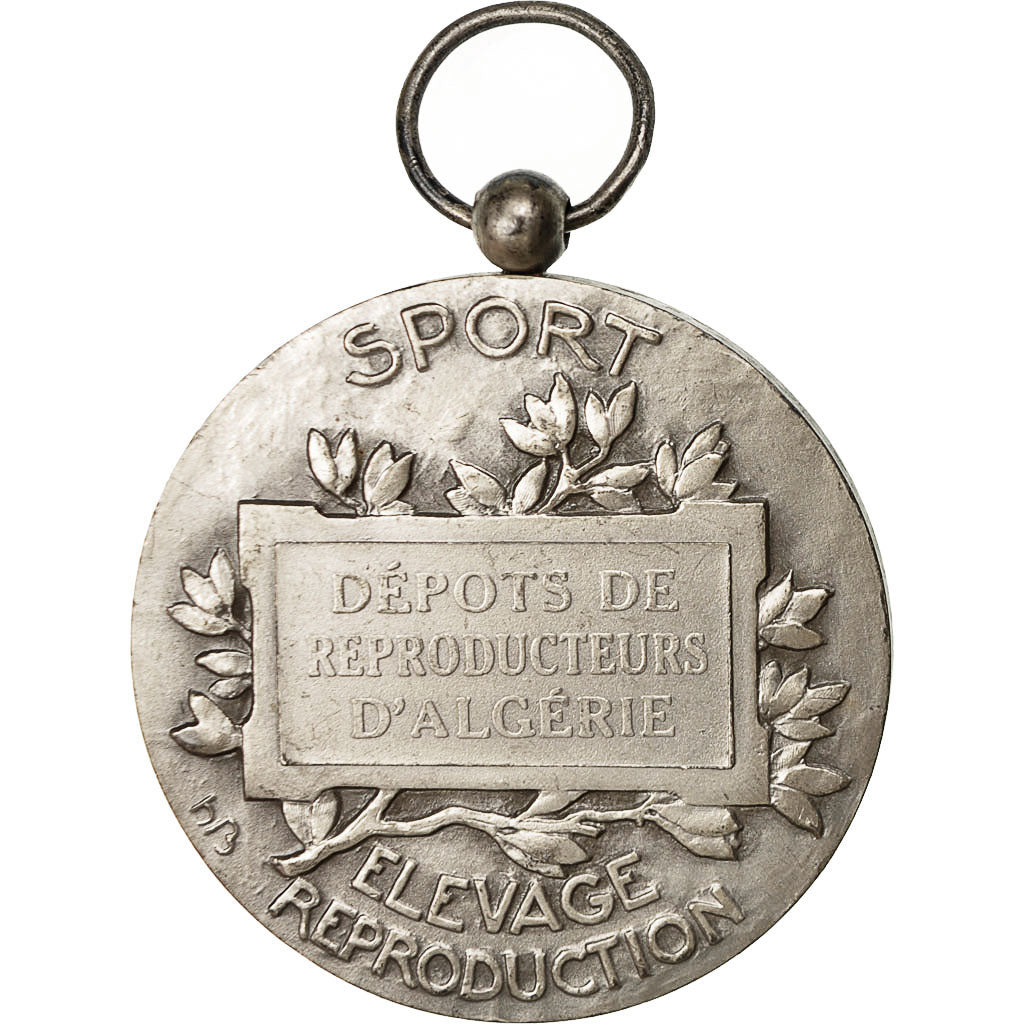 Algeria, Medaille, Chevaux, Dépôts de Reproducteurs D'Algérie, Bouchard, SS+