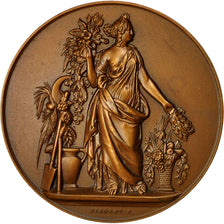 Algeria, Medal, Gouvernement Général de l'Algérie, Territoires du Sud