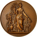 Algeria, Medal, Gouvernement Général de l'Algérie, Territoires du Sud
