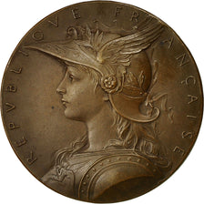 Algeria, Medal, Gouvernement Général de l'Algérie, Roty, AU(55-58), Bronze