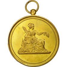 Algeria, Medal, Libriarie et Commission Universelles, Biskra, AU(50-53), Gilt