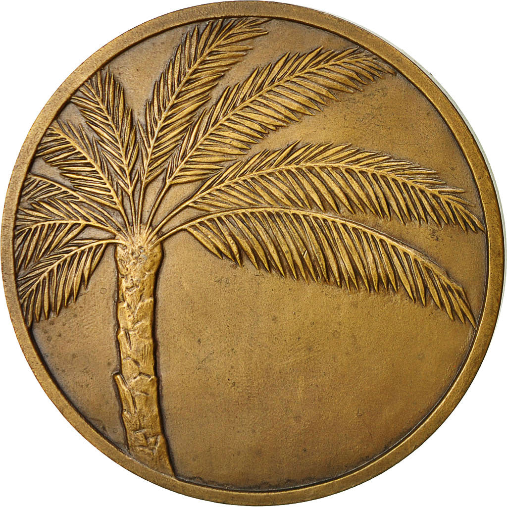 Algeria, Médaille, Femme Kabyle, Desvignes, SUP, Bronze