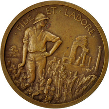 Algeria, Médaille, Compagnie Algérienne, Assemblée des Actionnaires, Pommier