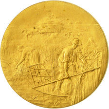 Algeria, Medaille, Concours Agricole de Constantine, 1904, VZ, Gilt Bronze