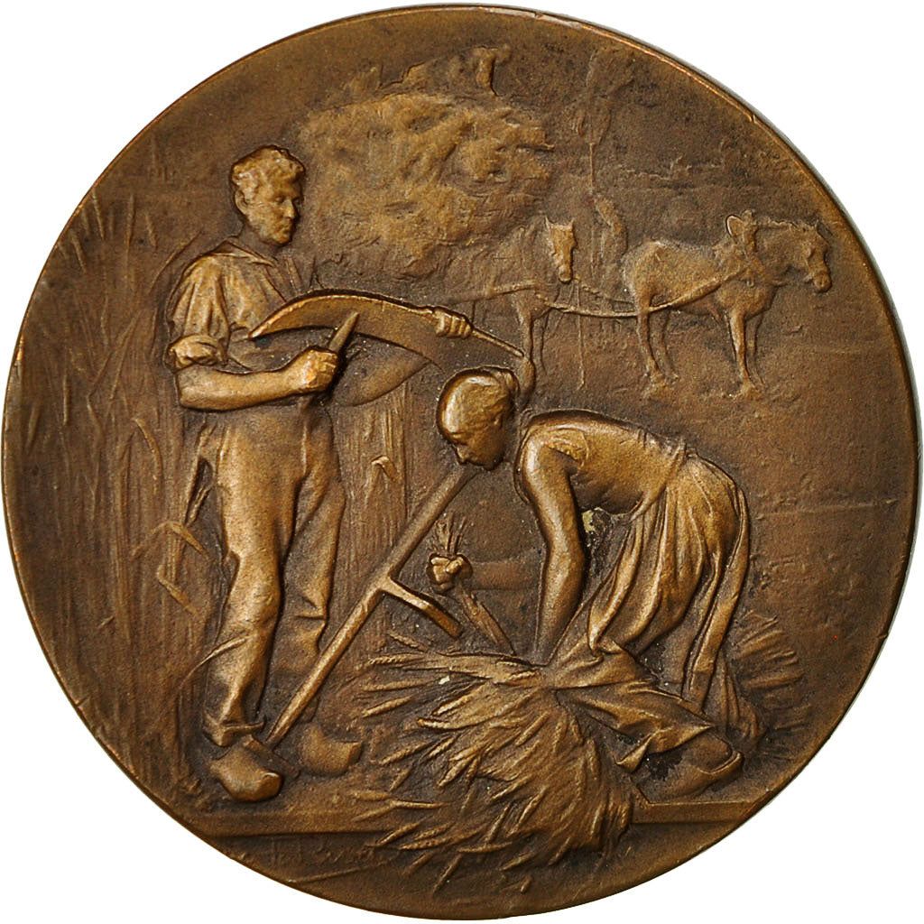 Algeria, medalla, Concours Agricole de Philippeville, 1926, Rives, MBC+, Bronce
