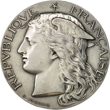 Algeria, medaglia, Ministère de l'Agriculture, Forêts, Gouraya-Alger, 1894