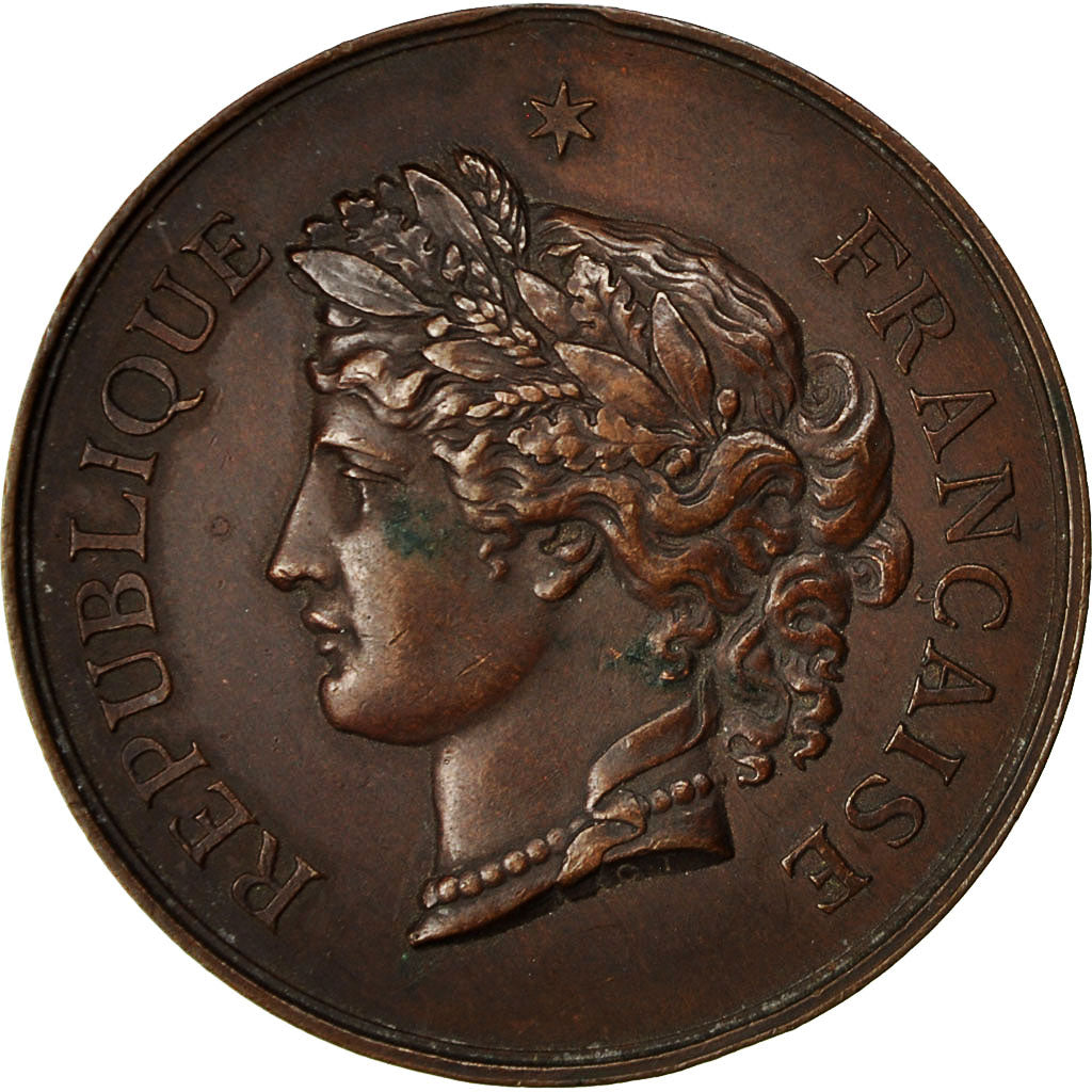 Algeria, medalla, Ville d'Aumale, Tir au Trappe-Balle, 1880, MBC, Bronce