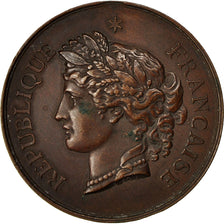 Algeria, medalla, Ville d'Aumale, Tir au Trappe-Balle, 1880, MBC, Bronce