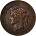 Algeria, medalla, Ville d'Aumale, Tir au Trappe-Balle, 1880, MBC, Bronce