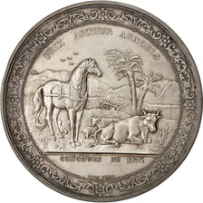 Algeria, Medal, Société d'Agriculture d'Alger, Prix Arthur Arnould, 1875