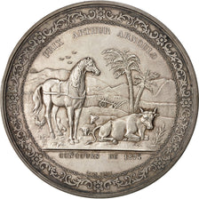 Algeria, Médaille, Société d'Agriculture d'Alger, Prix Arthur Arnould, 1875