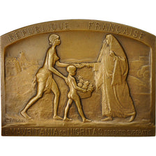 Algeria, medaglia, Missions des Chambres de Commerce de l'Algérie, 1926