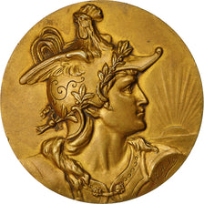 Algeria, Médaille, Centenaire de l'Algérie, F.E.A, 1930, Aubé, SUP, Bronze