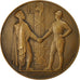 Algeria, Médaille, Centenaire de l'Algérie, 1930, Poisson, SUP, Bronze